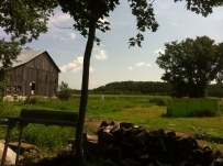 my every-brake view at the farm