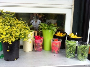 flowers for our customers' dishes: fennel, basil, zucchini, edible... and beetroot and peas!