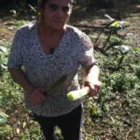 Obdulia cutting caña agria for me to try: delicious and good for the kidney!