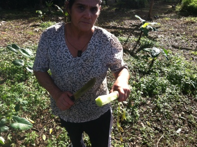 Obdulia cutting caña agria for me to try: delicious and good for the kidney!