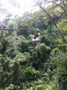 Canopy in the jungle