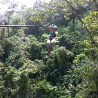 Canopy in the jungle