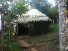 Palenque (traditional house)