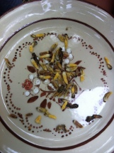 grilled wasp larvae... cheap gourmet cuisine